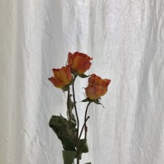 studio FAVORIが“暮らし”を大切にする理由